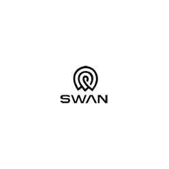 accounting-service-testimonial-swan